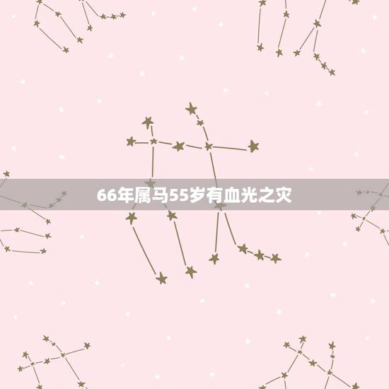 66年属马55岁有血光之灾，66年属马的今年运势