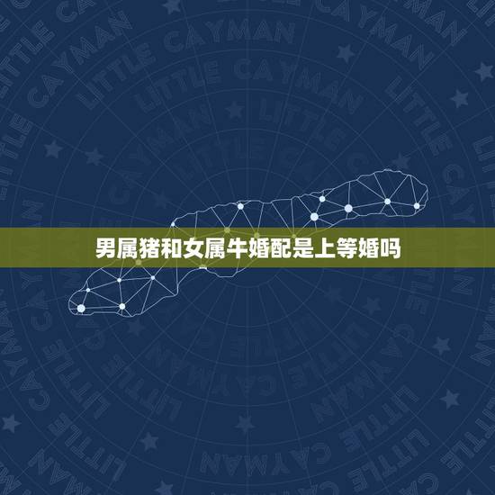 男属猪和女属牛婚配是上等婚吗，男属猪女属牛婚姻会怎样
