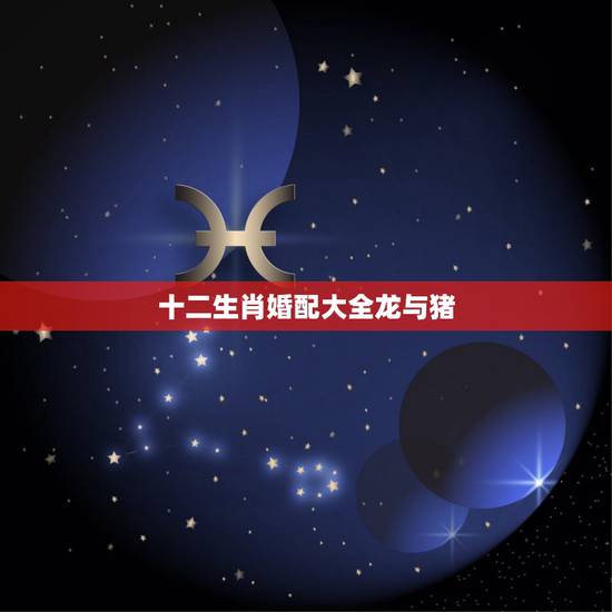 十二生肖婚配大全龙与猪,属相龙女和属相猪男婚配如何 十二生肖婚配大全龙与猪,属相龙女和属相猪男婚配如何