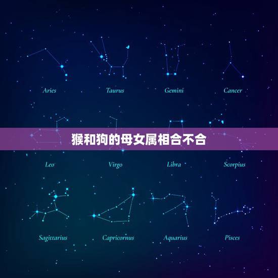 猴和狗的母女属相合不合，属猴的和属牛的大相合不合