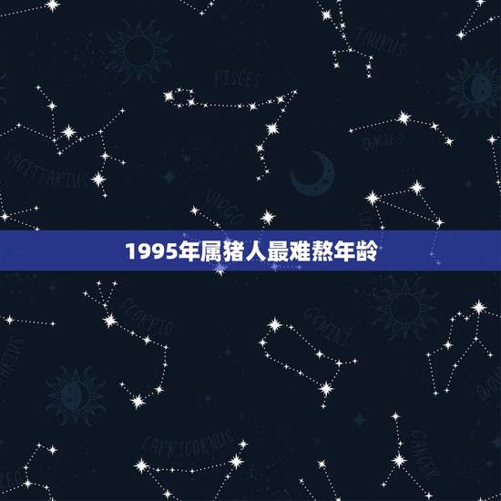 1995年属猪人最难熬年龄,83年属猪的灾难年 1995年属猪人最难熬年龄,83年属猪的灾难年