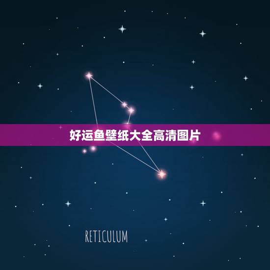 好运鱼壁纸大全高清图片，谁给张高清鱼的动态桌面壁纸，好的话加分哦