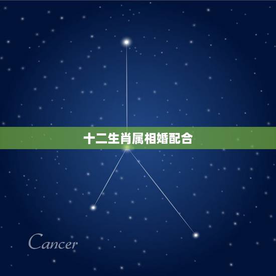 十二生肖属相婚配合,属相婚配的五行命相 十二生肖属相婚配合,属相婚配的五行命相