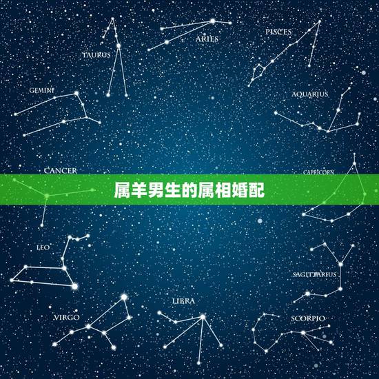 属羊男生的属相婚配,属相婚配女羊配什么男属相 属羊男生的属相婚配,属相婚配女羊配什么男属相