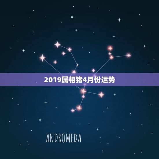 2019属相猪4月份运势，属猪人在2019年运势