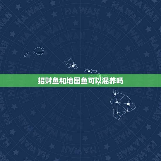招财鱼和地图鱼可以混养吗,请问地图鱼和招财鱼能混养么 招财鱼和地图鱼可以混养吗,请问地图鱼和招财鱼能混养么