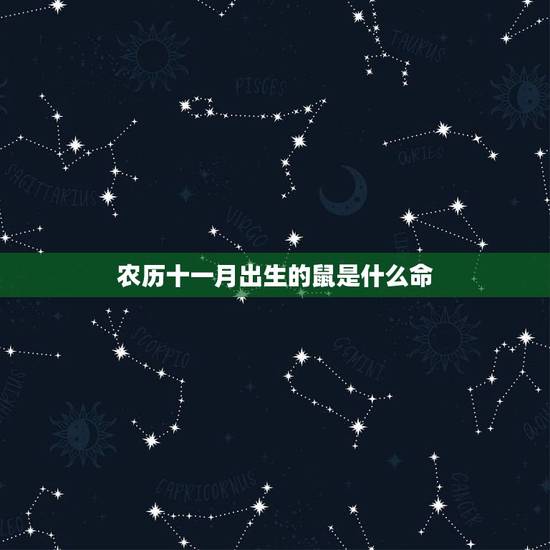 农历十一月出生的鼠是什么命,2022 年牛宝宝取名字 农历十一月出生的鼠是什么命,2022 年牛宝宝取名字