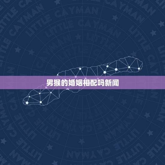 男猴的婚姻相配吗新闻，男猴相配吗