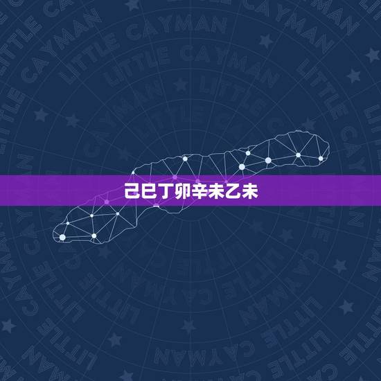 己巳丁卯辛未乙未,己巳与甲戌解释 己巳丁卯辛未乙未,己巳与甲戌解释