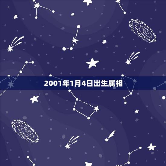 2001年1月4日出生属相,2003年阳历1月4日出生属什么 2001年1月4日出生属相,2003年阳历1月4日出生属什么