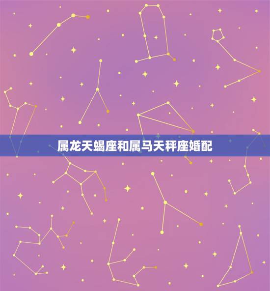 属龙天蝎座和属马天秤座婚配，男属龙，天蝎座，女属马，射手座，在一起可以