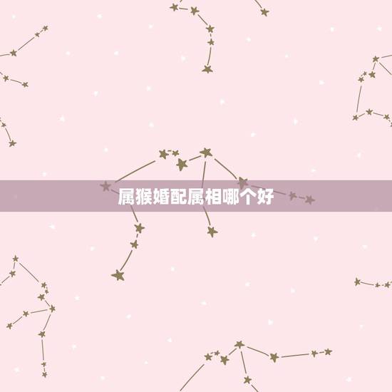 属猴婚配属相哪个好,属猴的和什么属相最配,属猴的属相婚配表 属猴婚配属相哪个好,属猴的和什么属相最配,属猴的属相婚配表