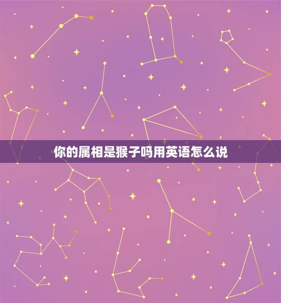 你的属相是猴子吗用英语怎么说,生肖属相在英语里怎么说? 你的属相是猴子吗用英语怎么说,生肖属相在英语里怎么说?