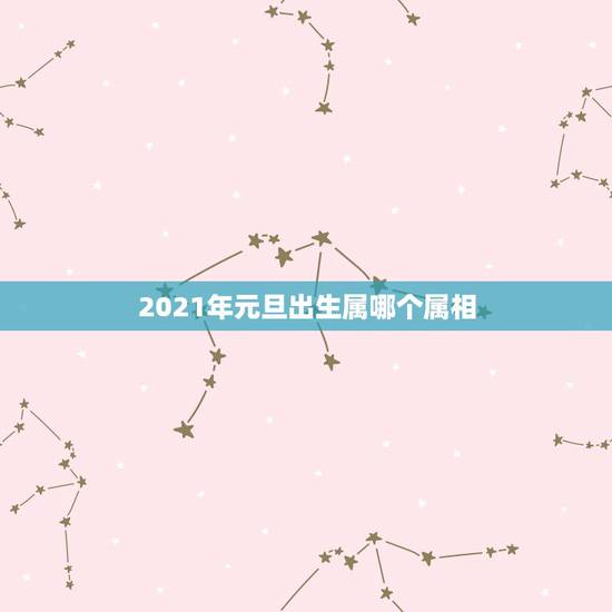 2021年元旦出生属哪个属相，2021年1月1日出生的宝宝属相