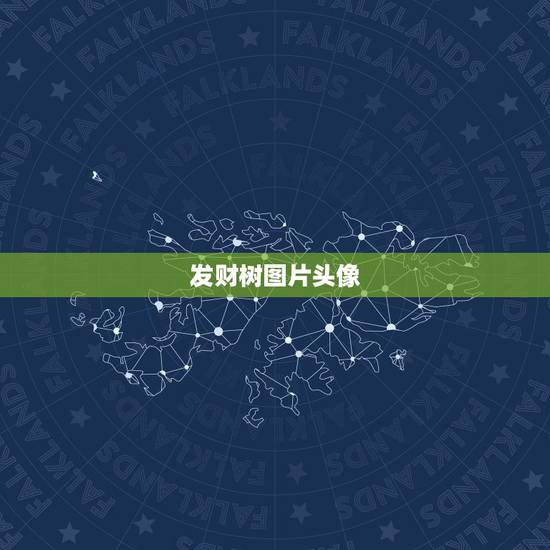 发财树图片头像，发财树的最佳造型图片