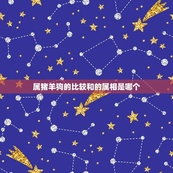 属猪羊狗的比较和的属相是哪个，属狗和属猪生什么属相的孩子最好