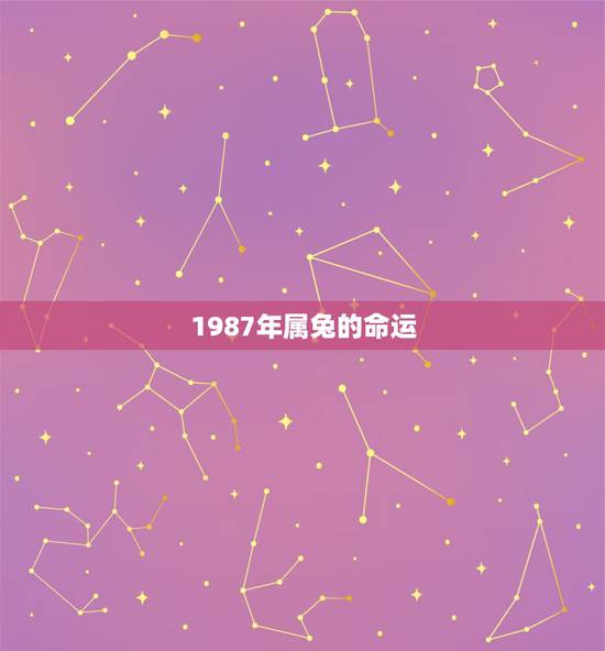 1987年属兔的命运,您好,我是87年农历5月11日,阳历6月6日的生 1987年属兔的命运,您好,我是87年农历5月11日,阳历6月6日的生