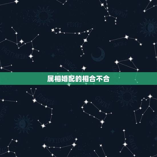 属相婚配的相合不合，属相婚配