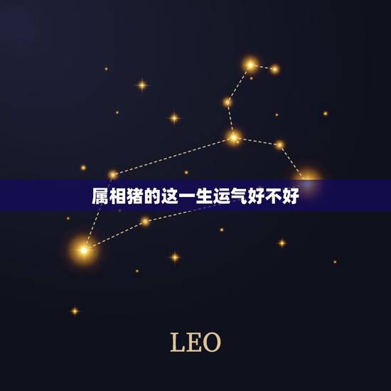 属相猪的这一生运气好不好，属猪人今年的运势怎么样猪今年运势