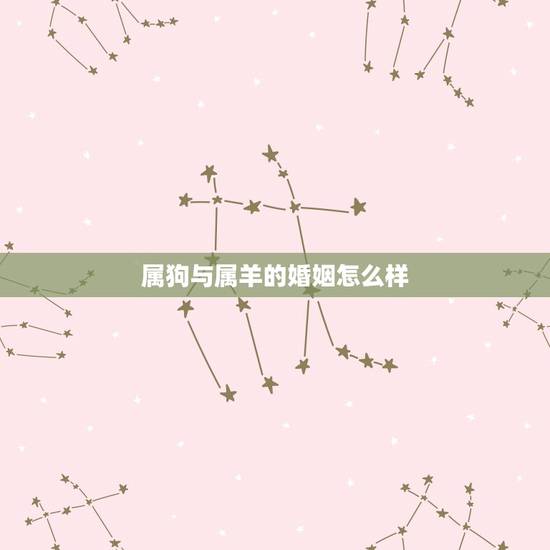 属狗与属羊的婚姻怎么样,属羊和属狗注定要离婚吗 属狗与属羊的婚姻怎么样,属羊和属狗注定要离婚吗