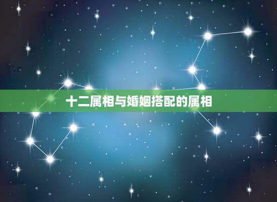 十二属相与婚姻搭配的属相，十二生肖婚姻配对最好呢？