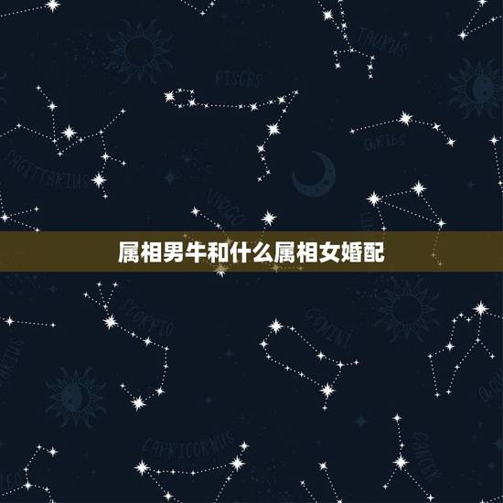 属相男牛和什么属相女婚配，男属牛的和什么属相相配最佳 – 百度·
