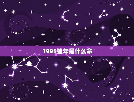 1995猪年是什么命,1995年是什么命 1995猪年是什么命,1995年是什么命