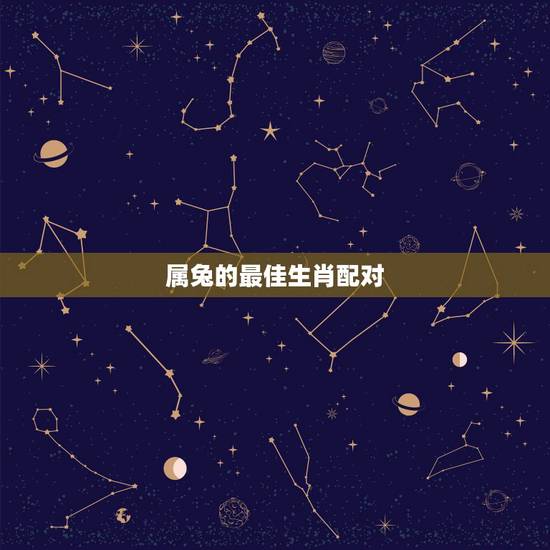 属兔的最佳生肖配对，属兔的属相婚配表 揭秘生肖兔和什么最配