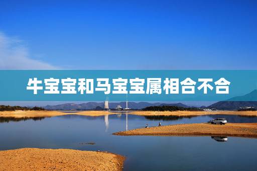 牛宝宝和马宝宝属相合不合,求大师化解,85年属牛和90年属马的配吗,给 牛宝宝和马宝宝属相合不合,求大师化解,85年属牛和90年属马的配吗,给