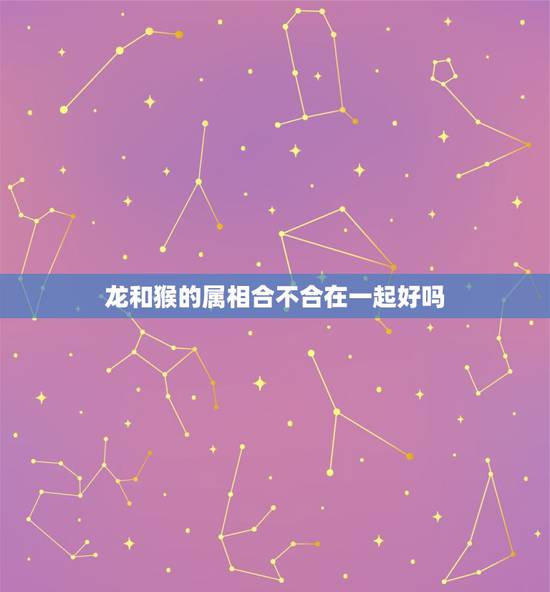 龙和猴的属相合不合在一起好吗，属龙的和属猴的合不合呀