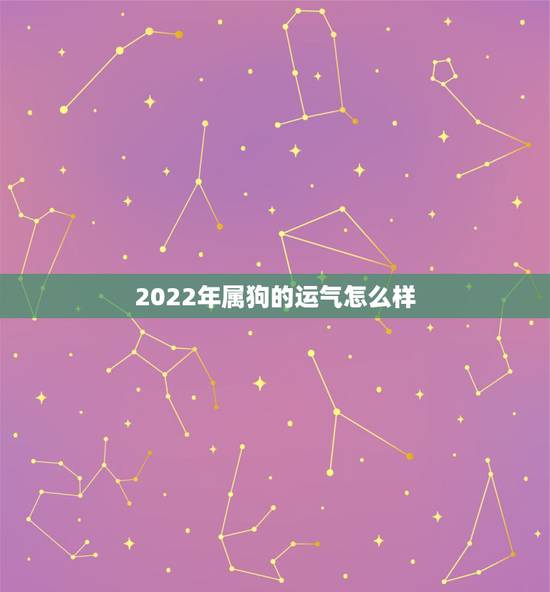 2022年属狗的运气怎么样,2022年属狗每月运势查询 2022年属狗的运气怎么样,2022年属狗每月运势查询