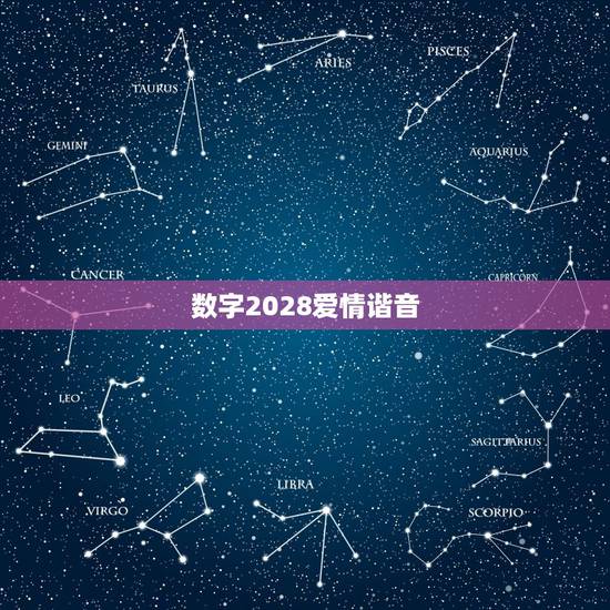数字2028爱情谐音，数字谐音1100