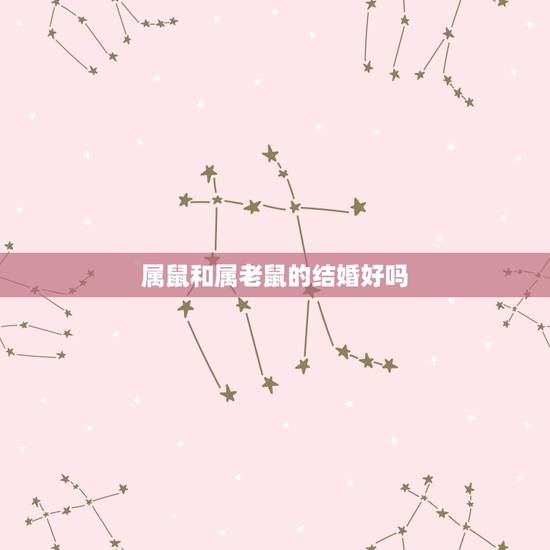 属鼠和属老鼠的结婚好吗,属鼠没有属牛好吧 属鼠和属老鼠的结婚好吗,属鼠没有属牛好吧