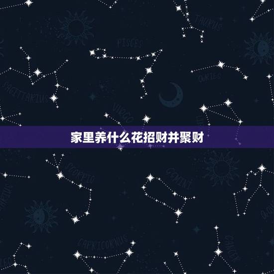 家里养什么花招财并聚财,家里养什么植物旺财 家里养什么花招财并聚财,家里养什么植物旺财