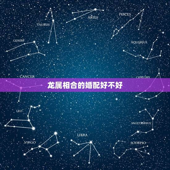 龙属相合的婚配好不好，男龙配个什么属相相配最好