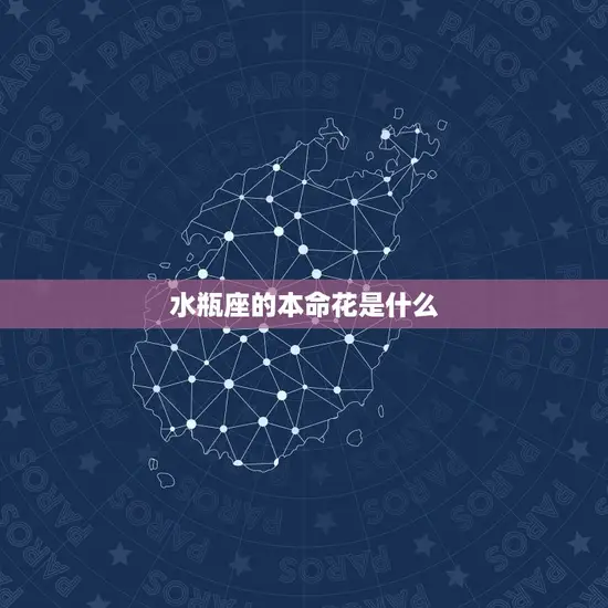 水瓶座的本命花是什么