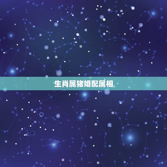 生肖属猪婚配属相,属相婚配表之属猪的和什么属相最配 生肖属猪婚配属相,属相婚配表之属猪的和什么属相最配