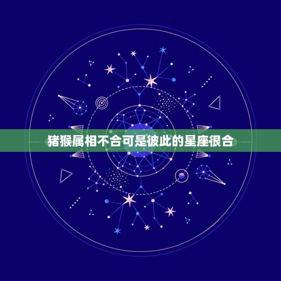 猪猴属相不合可是彼此的星座很合，我和他的属相星座合不合？