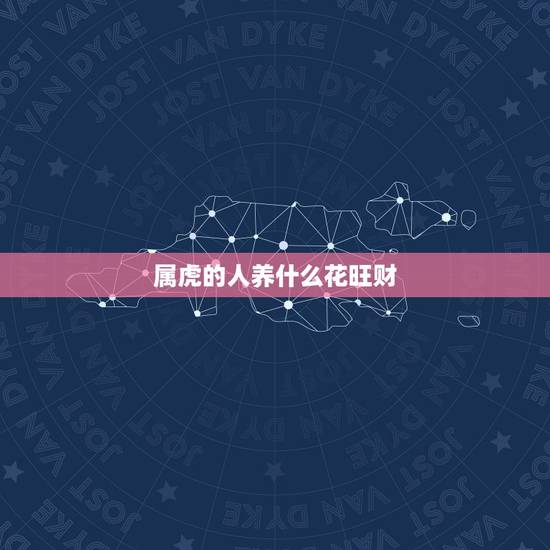 属虎的人养什么花旺财，属虎的人家中适合摆放什么摆件