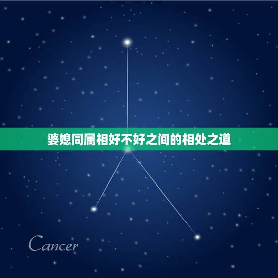 婆媳同属相好不好之间的相处之道,婆媳之间的相处之道到底是什么(有婆媳关 婆媳同属相好不好之间的相处之道,婆媳之间的相处之道到底是什么(有婆媳关