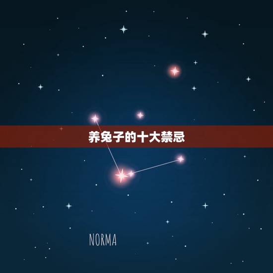 养兔子的十大禁忌，养兔基本知识