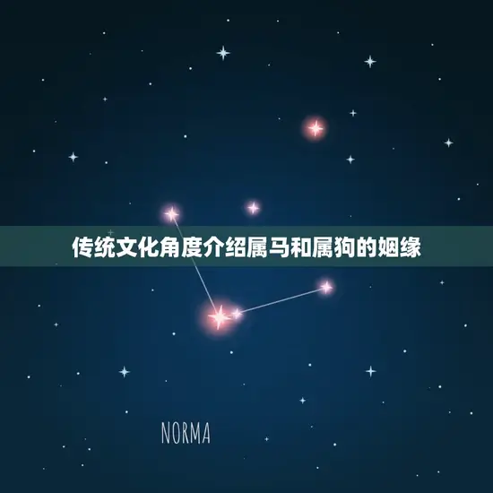 传统文化角度介绍属马和属狗的姻缘