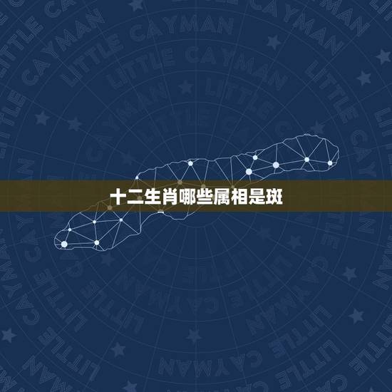 十二生肖哪些属相是斑,十二生肖里什么动物身上有黑斑点 十二生肖哪些属相是斑,十二生肖里什么动物身上有黑斑点