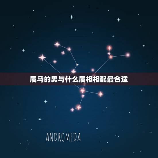 属马的男与什么属相相配最合适,马配什么生肖 属马的男与什么属相相配最合适,马配什么生肖