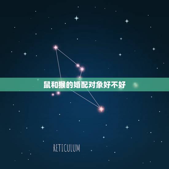 鼠和猴的婚配对象好不好,鼠和猴配吗 鼠和猴的婚配对象好不好,鼠和猴配吗