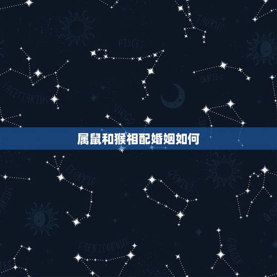 属鼠和猴相配婚姻如何,属鼠和属猴的人相配好吗 属鼠和猴相配婚姻如何,属鼠和属猴的人相配好吗