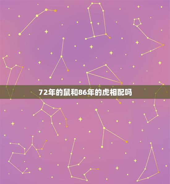 72年的鼠和86年的虎相配吗，男属鼠1972年女属虎1986年结婚配吗