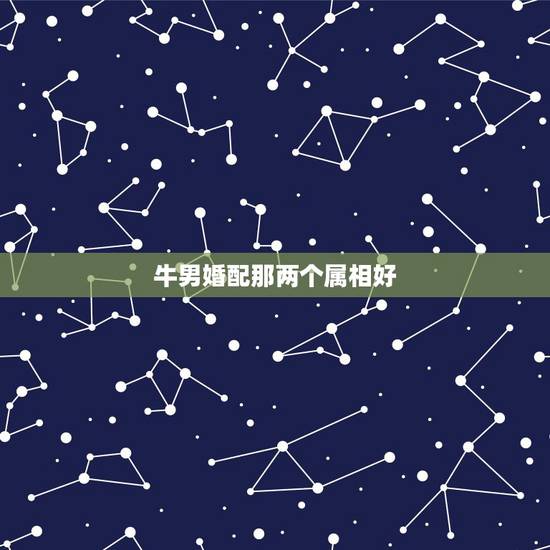 牛男婚配那两个属相好，属牛男的最佳婚姻配对