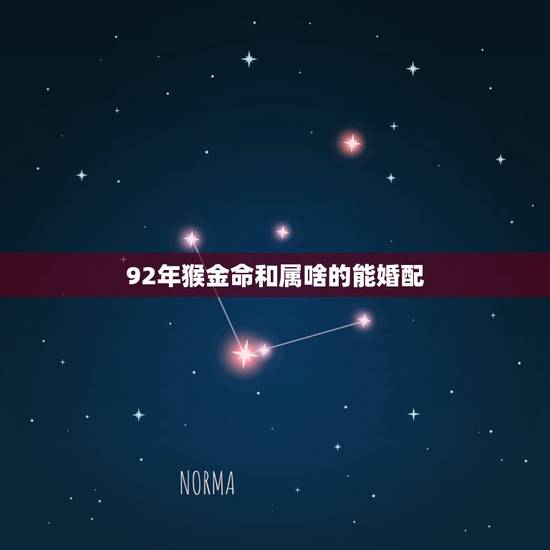 92年猴金命和属啥的能婚配，92年属猴金命做什么生意为好