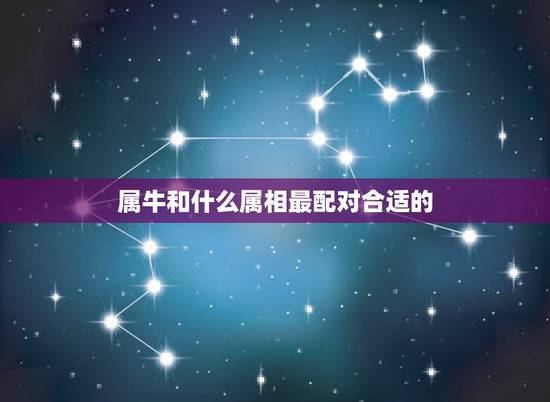属牛和什么属相最配对合适的，属鸡2022 年运势及运程
